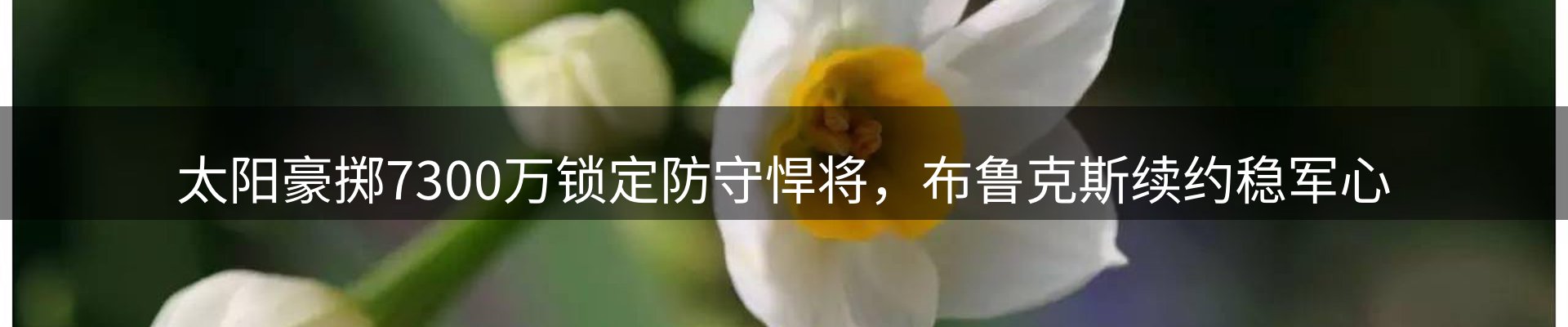 综合资讯
