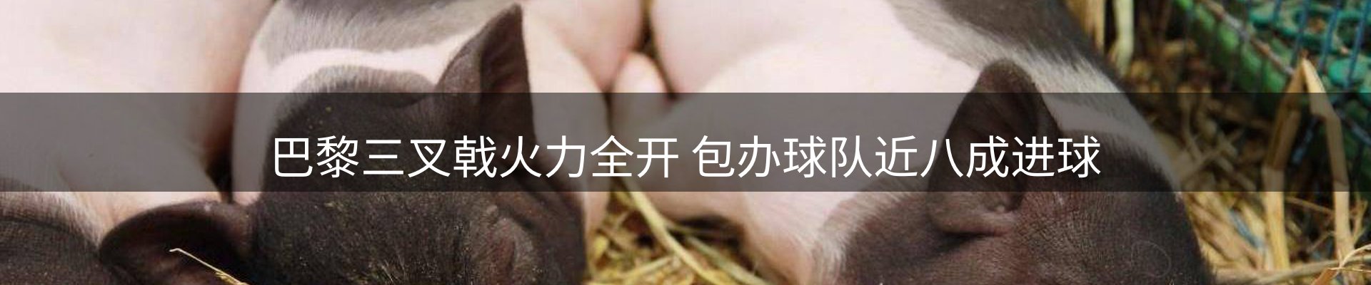 综合资讯