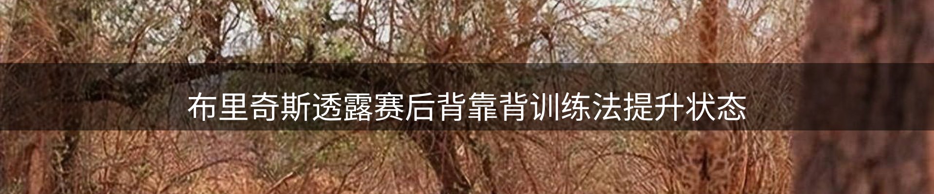 焦点展望