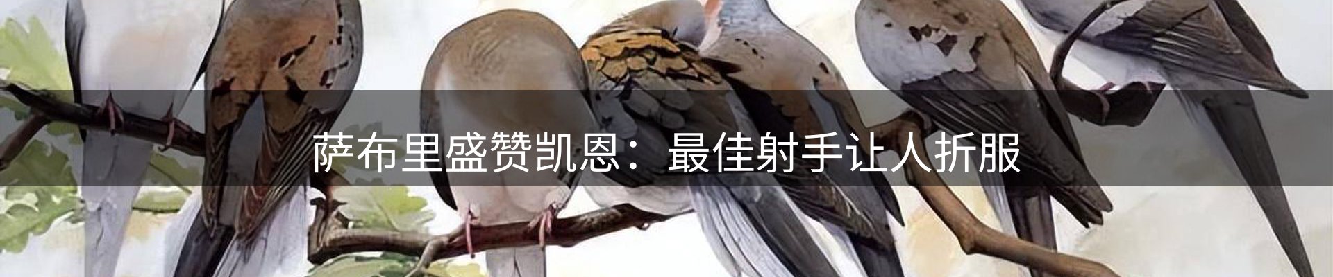 焦点展望