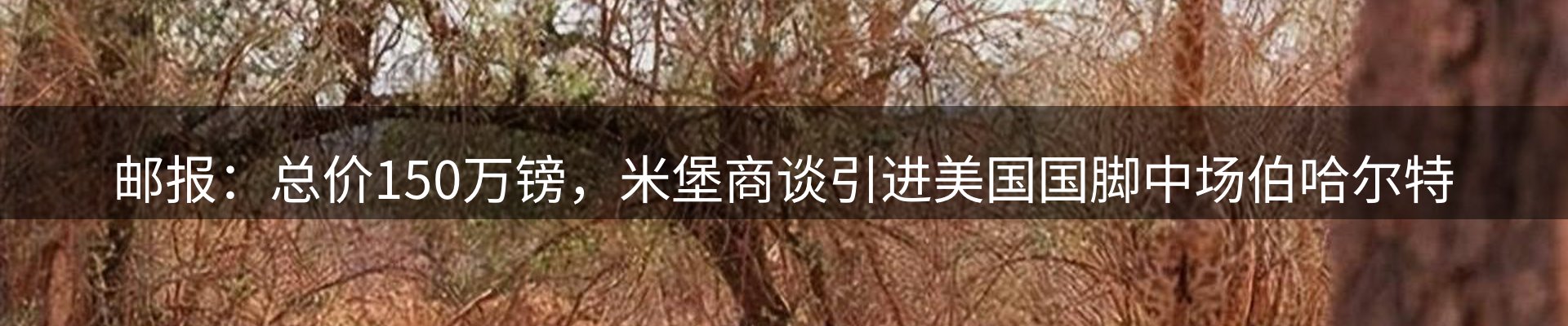 综合资讯