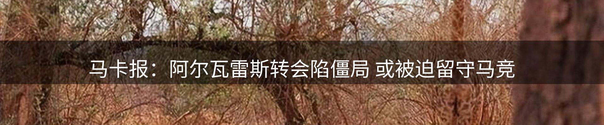 综合资讯