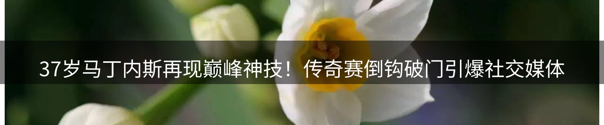 综合资讯